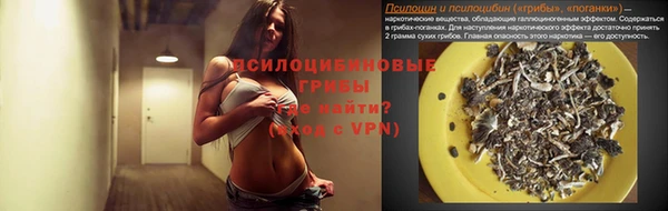 ПСИЛОЦИБИНОВЫЕ ГРИБЫ Горно-Алтайск