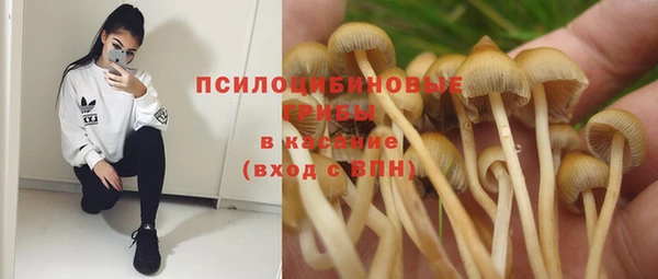 МДМА Вяземский
