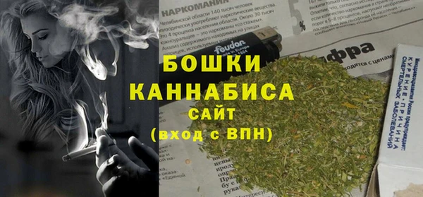 метадон Горняк