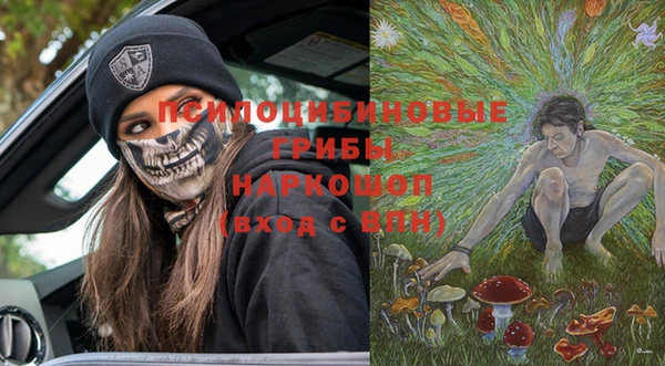 ПСИЛОЦИБИНОВЫЕ ГРИБЫ Горно-Алтайск