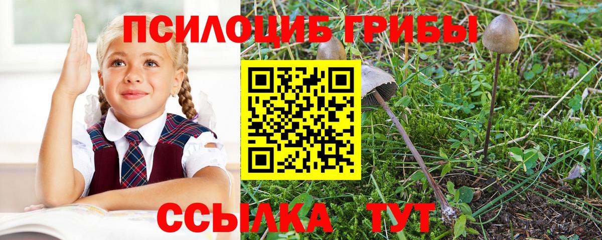 Галлюциногенные грибы мухоморы  Галлюциногенные грибы Psilocybine cubensis  Вход с VPN  купить наркотик  Салават 